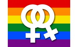 DRAPEAU LGBT lesbien - 20x15cm - Autocollant(sticker)